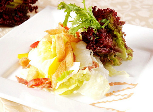 ��ʽ����ɳ��